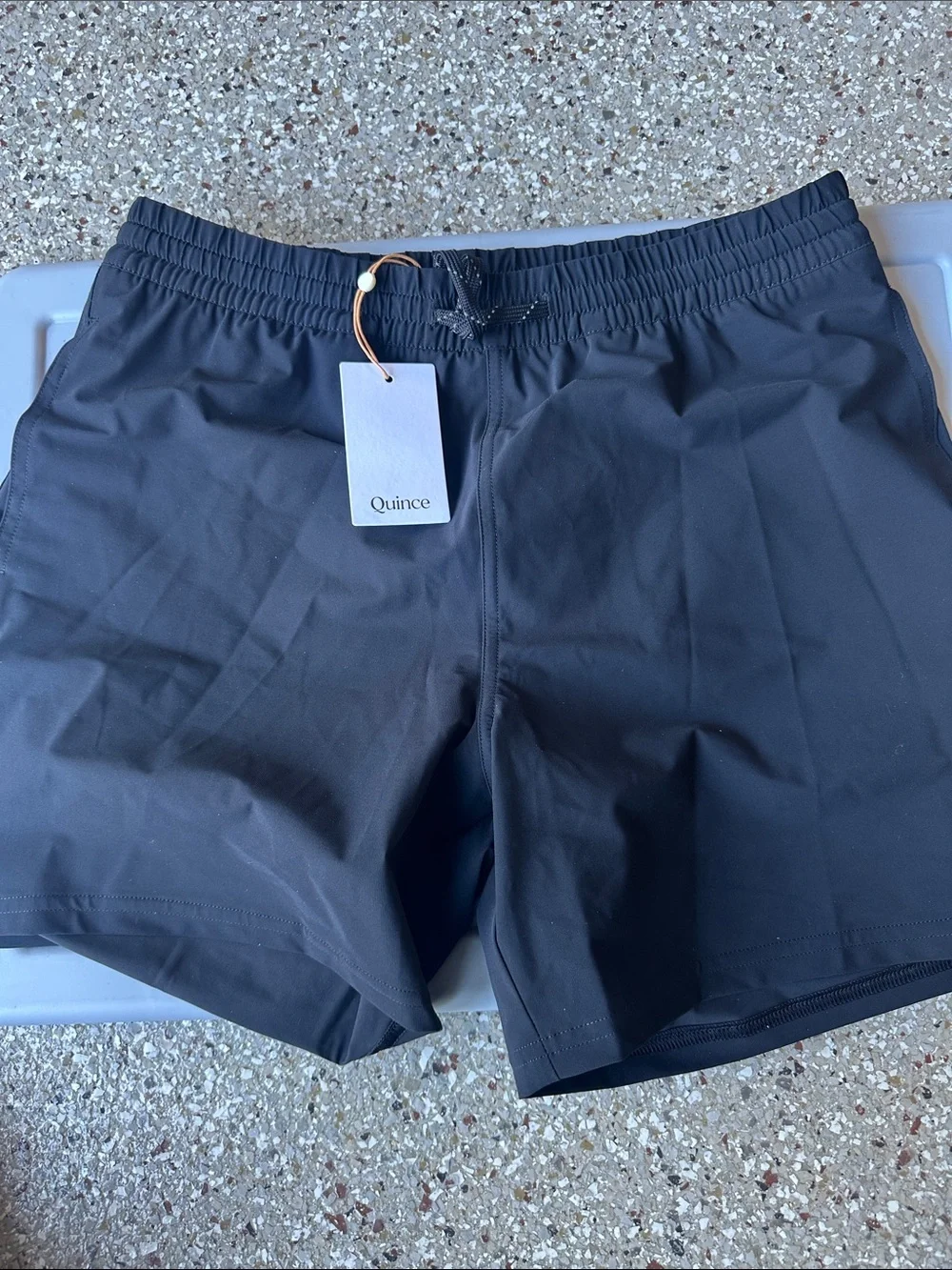 Quince Swim Trunks Black R174